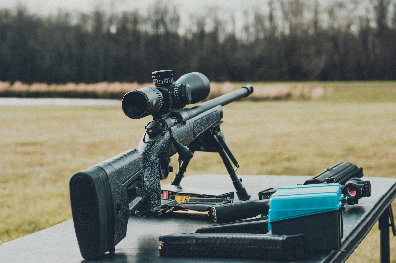 Rossi RS22 Rifle gun