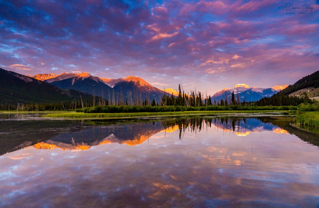 Natural Frame for Camping Photography