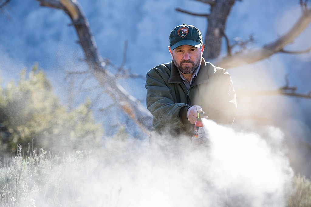 A Person Using Bear Spray