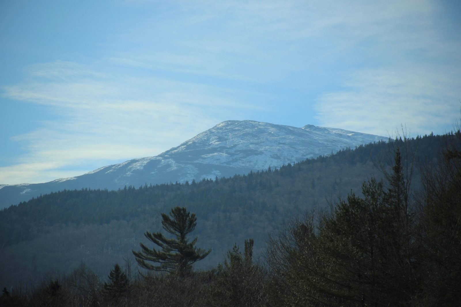Stunning view of a snowy mountain peak surrounded by lush forest and clear sky.