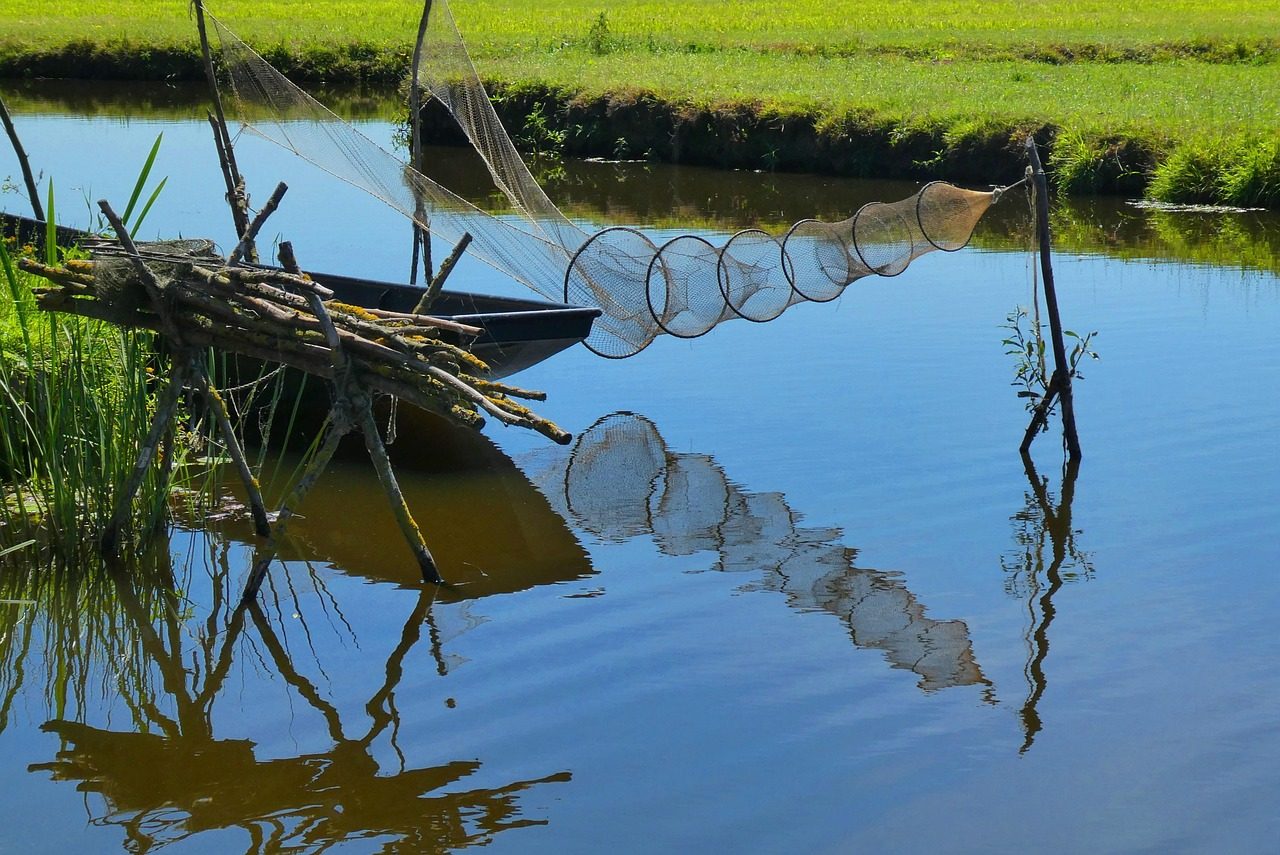 Fish Trap Placed in a River