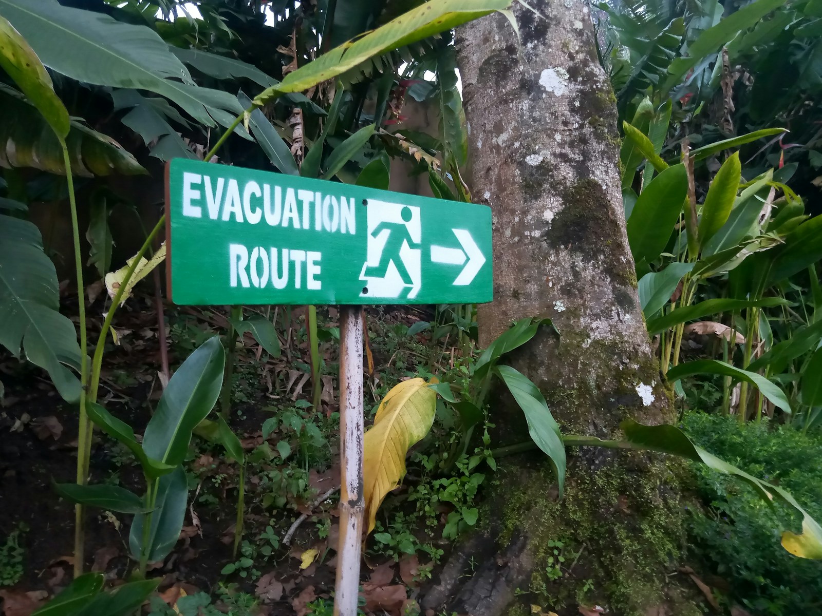 Route signs for evacuation directions
