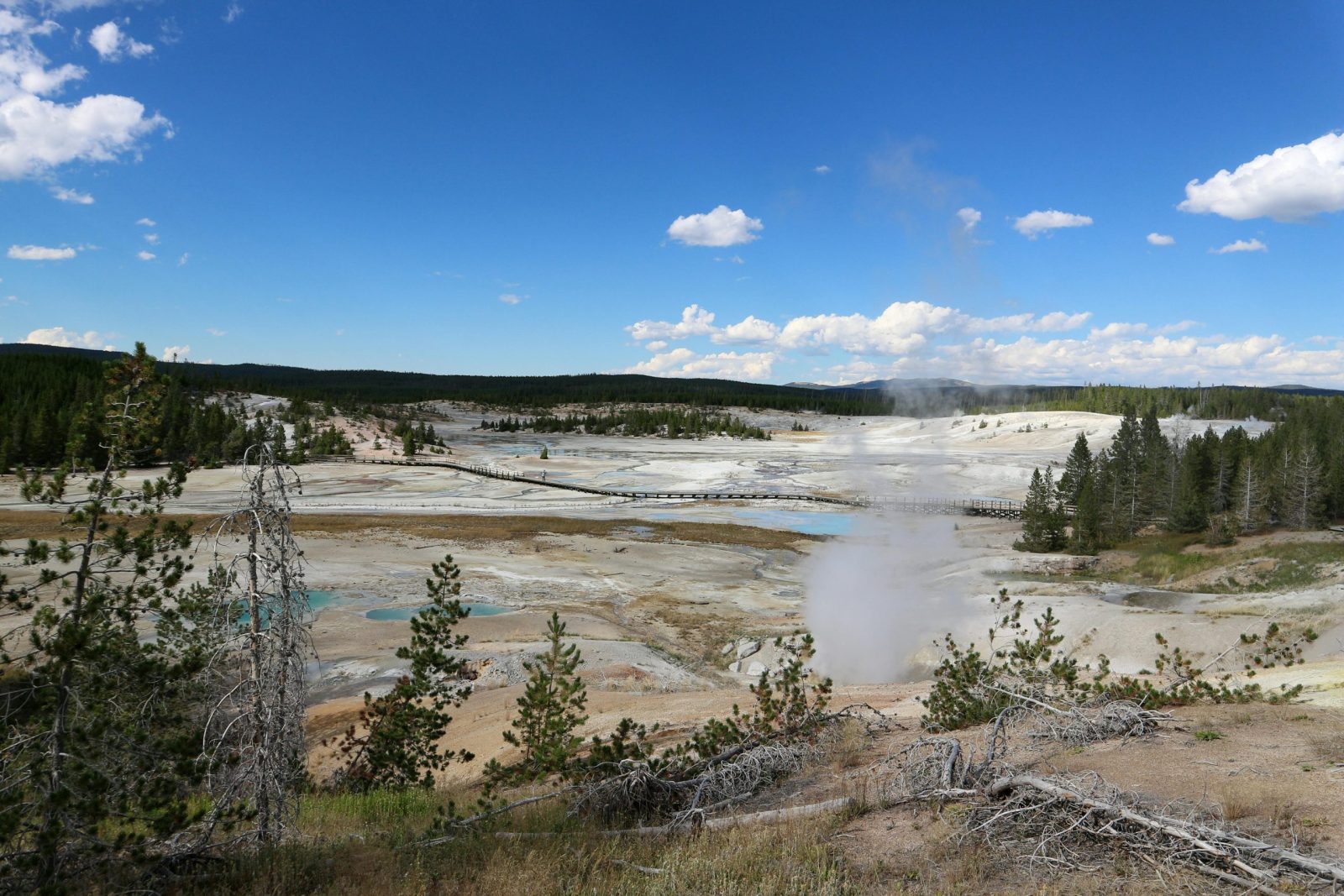 Beautiful landscape of Norris Geyser Basin, showcasing stunning geothermal features and vibrant scenery.