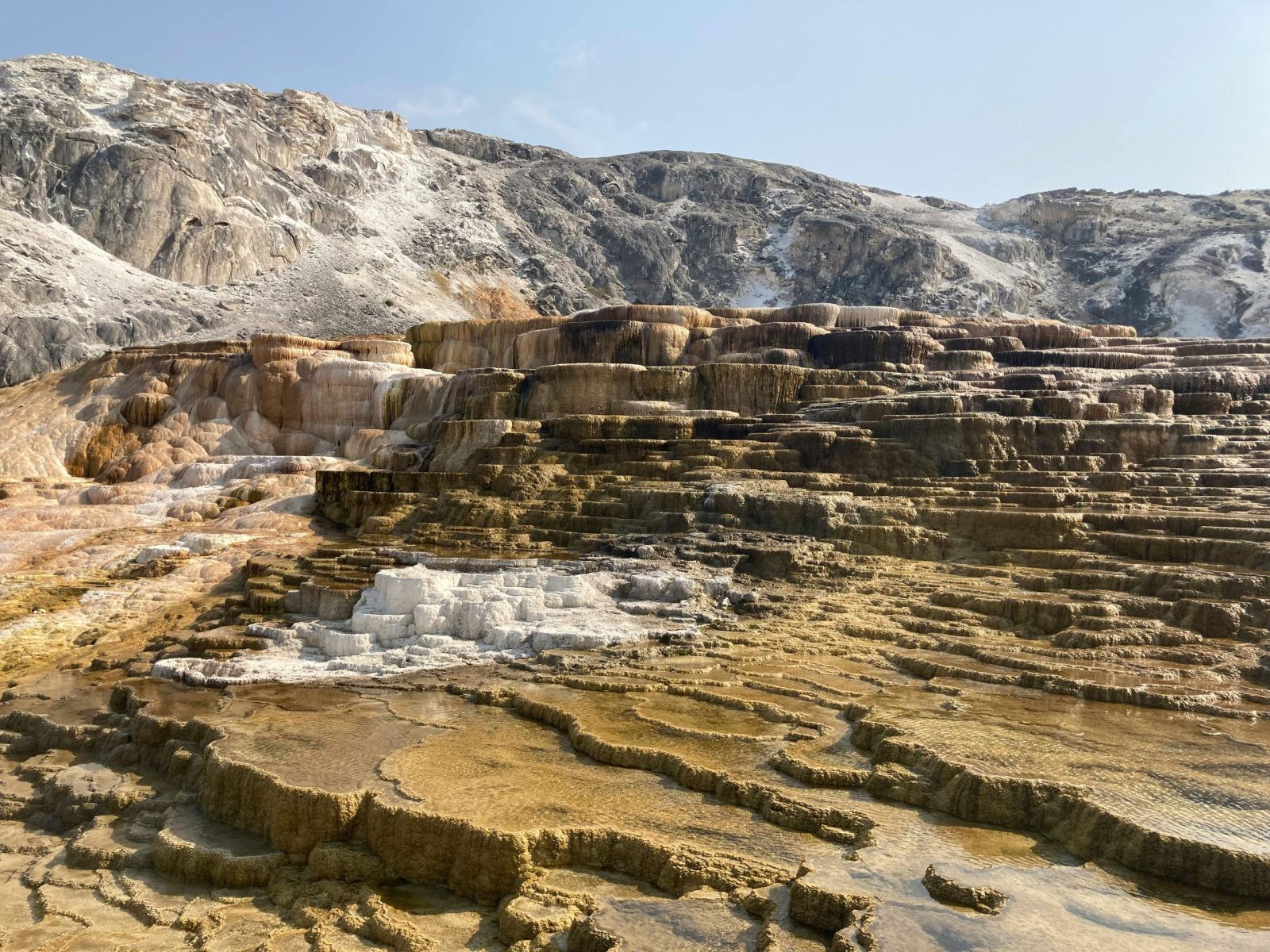Mammoth Hot Springs in Yellowstone's Grand Loop road