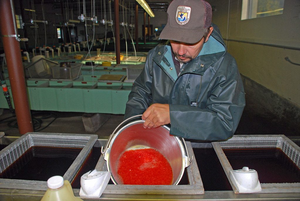 A Man Filtering Water