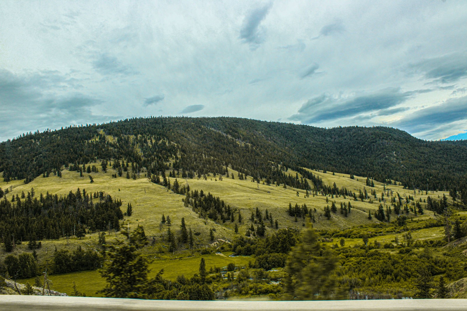 Lamar Valley in Yellowstone's Grand Loop road