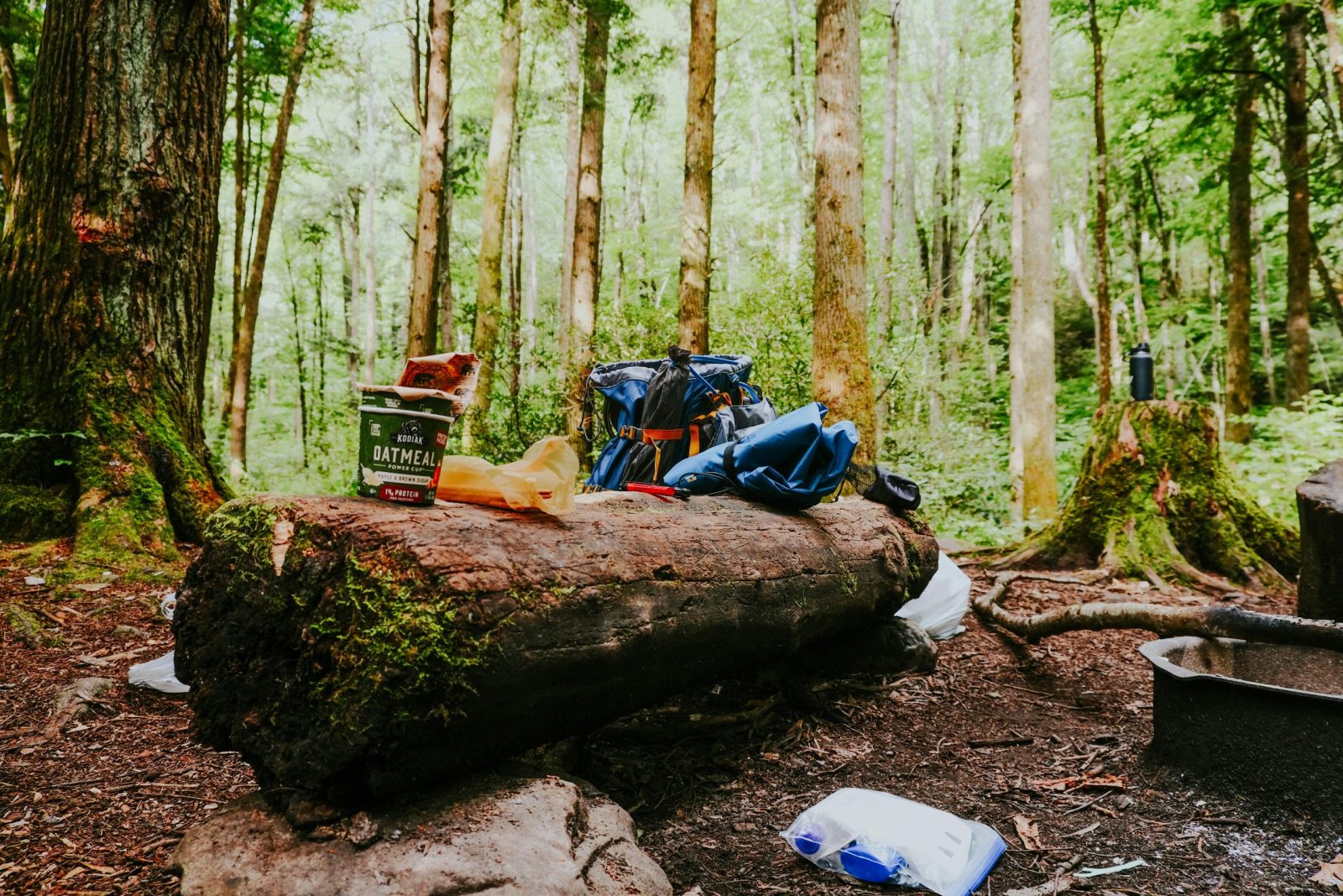 A Camping Setup in a Forest with Left Garbage.