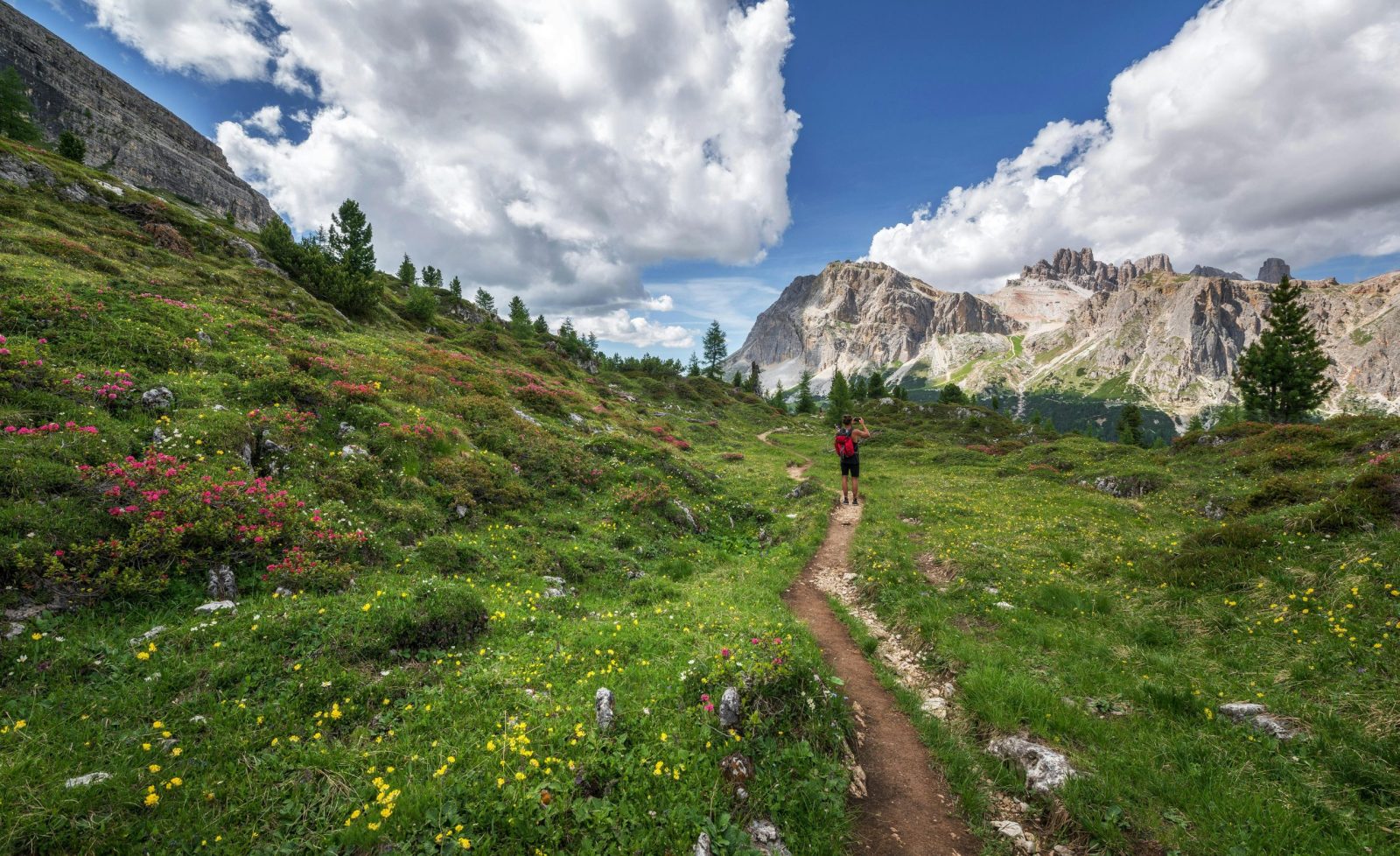 taiki-ishikawa-w6EMxsk8CDA-unsplash A lone hiker explores a stunning trail surrounded by alpine flowers and majestic mountains in the Dolomites.