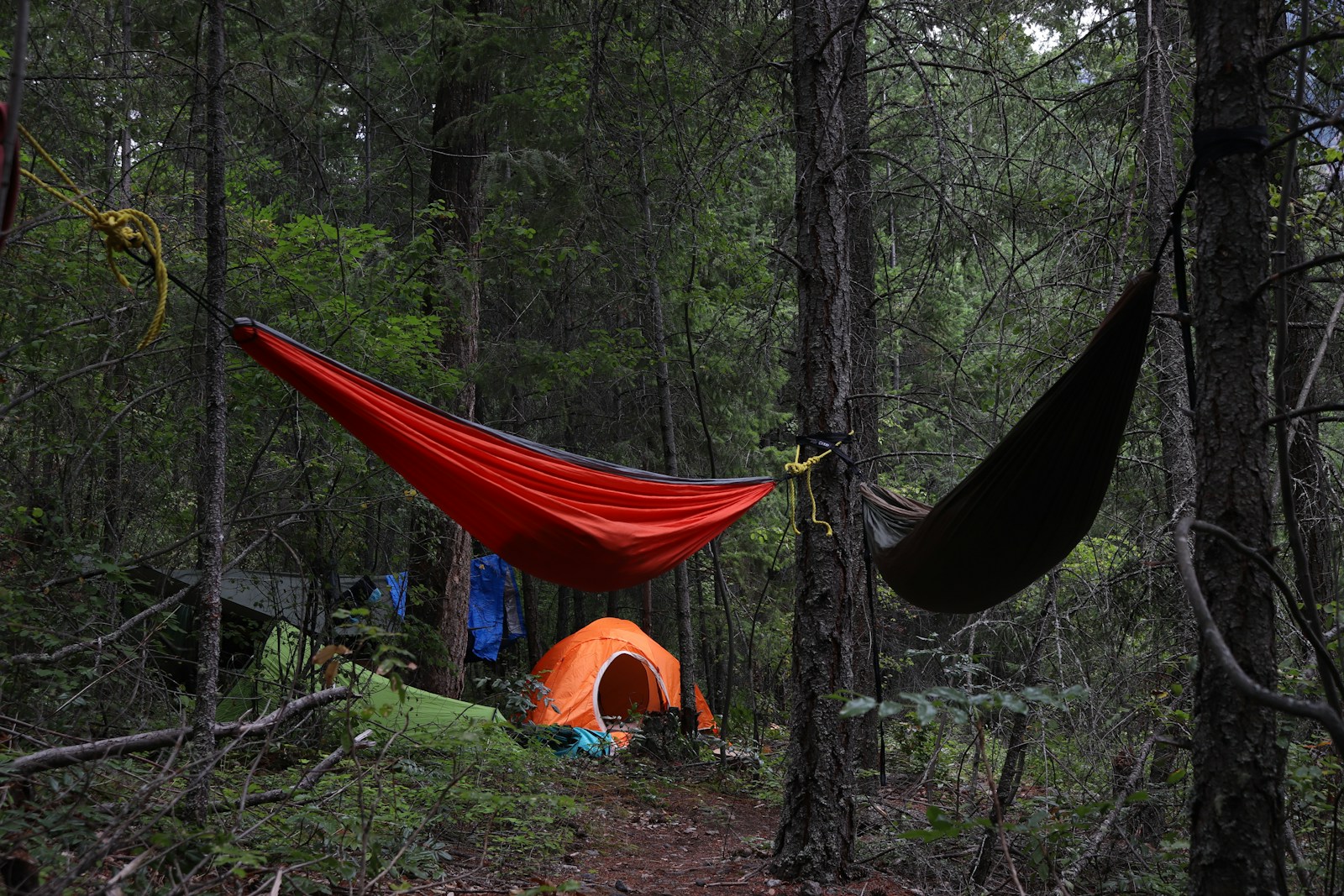 A tent in the woods