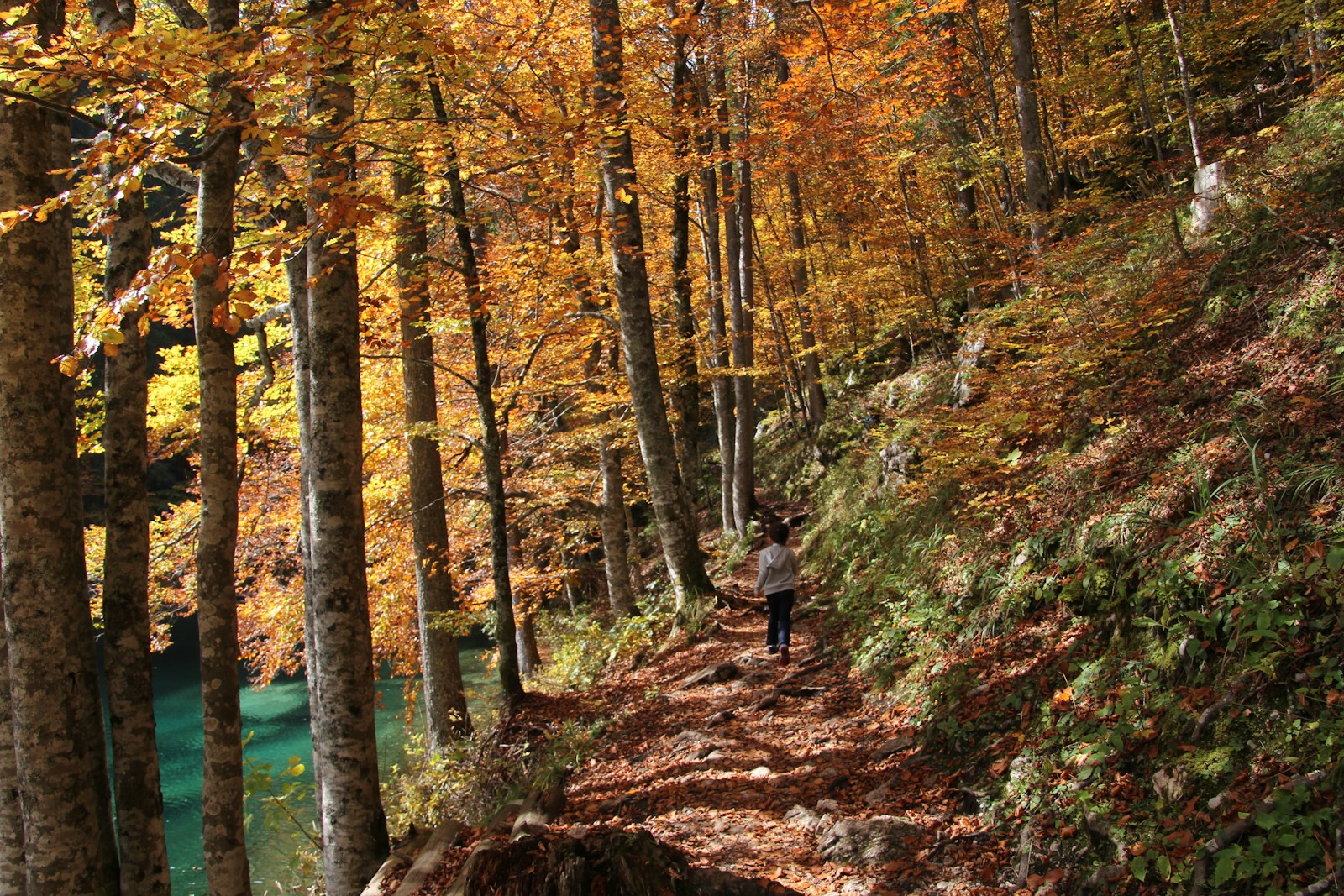 Hiking path by Lake Fusine in the Fall