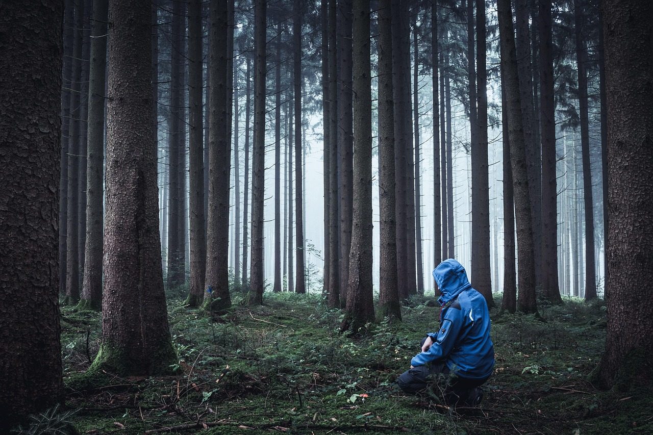 taiki-ishikawa-w6EMxsk8CDA-unsplash A Person In Forest Sitting on a Fallen Tree