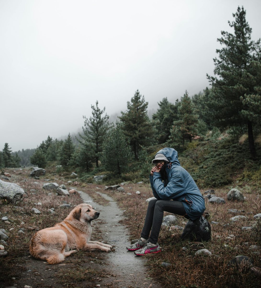 A woman in a blue jacket sits on a forest trail, sharing a moment with her dog.