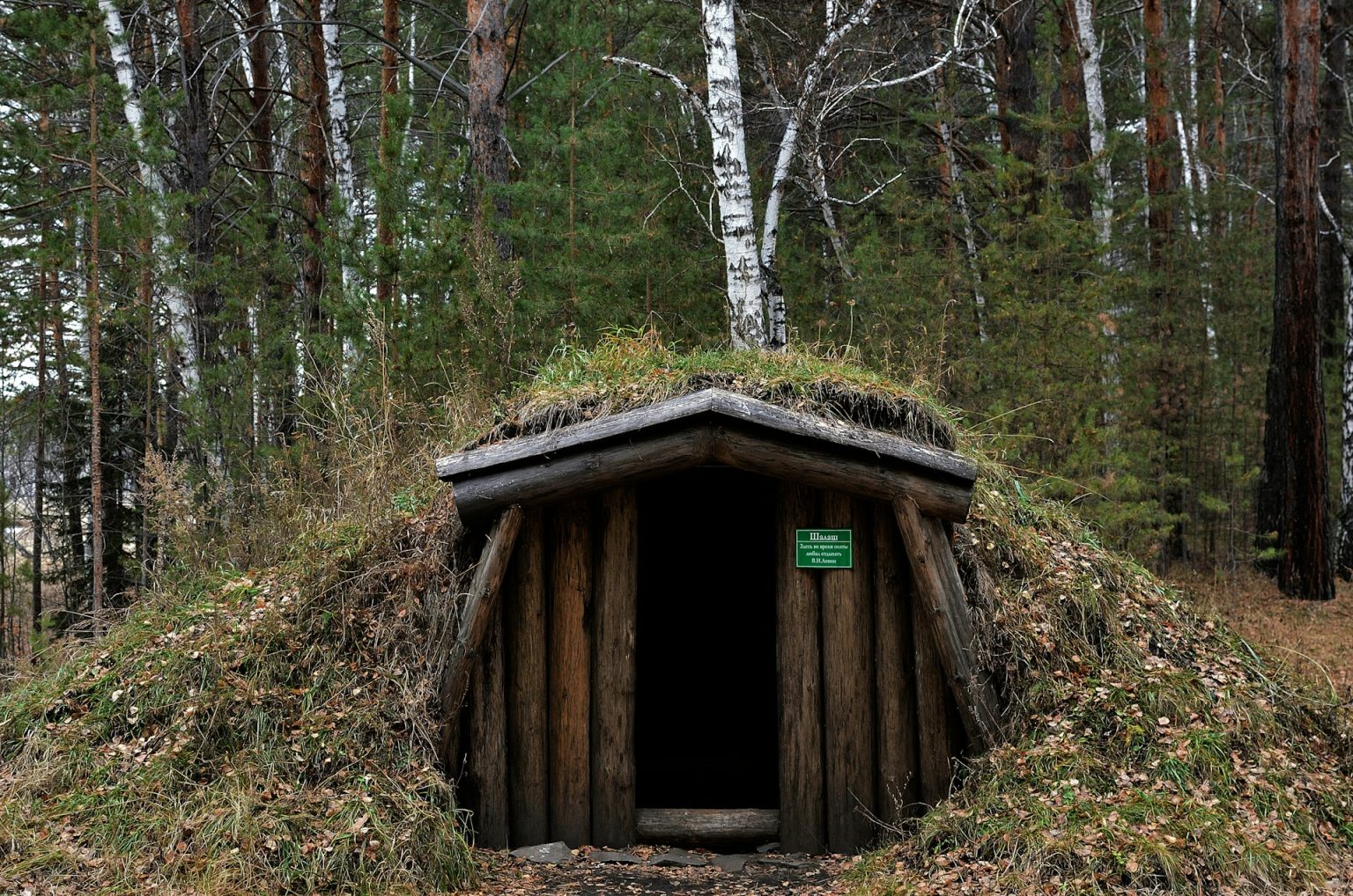 Bushcraft Base 10 Steps to Build a DIY Underground Bushcraft Survival Shelter ...
