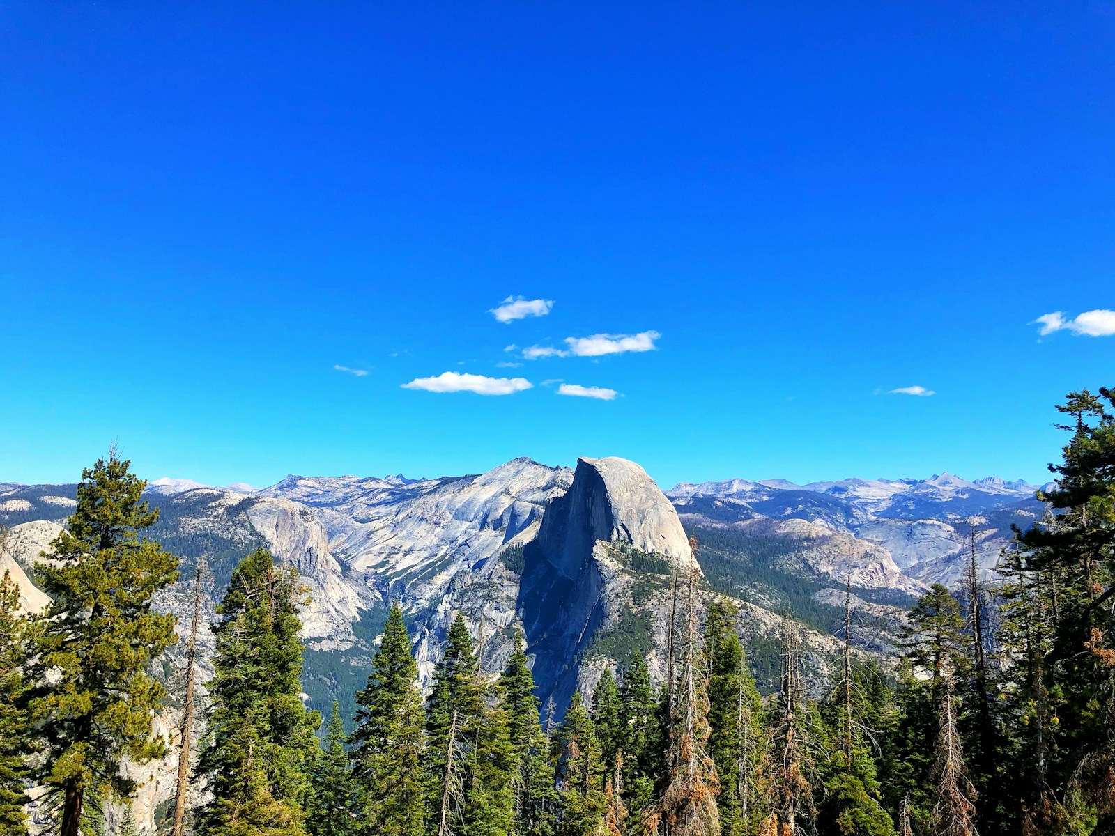 green trees near mountain during aytime