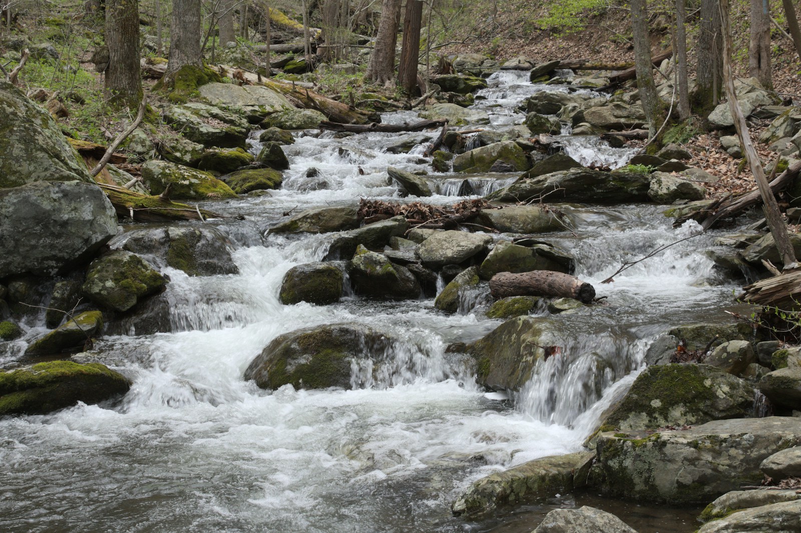 Shenandoah National Park, Virginia