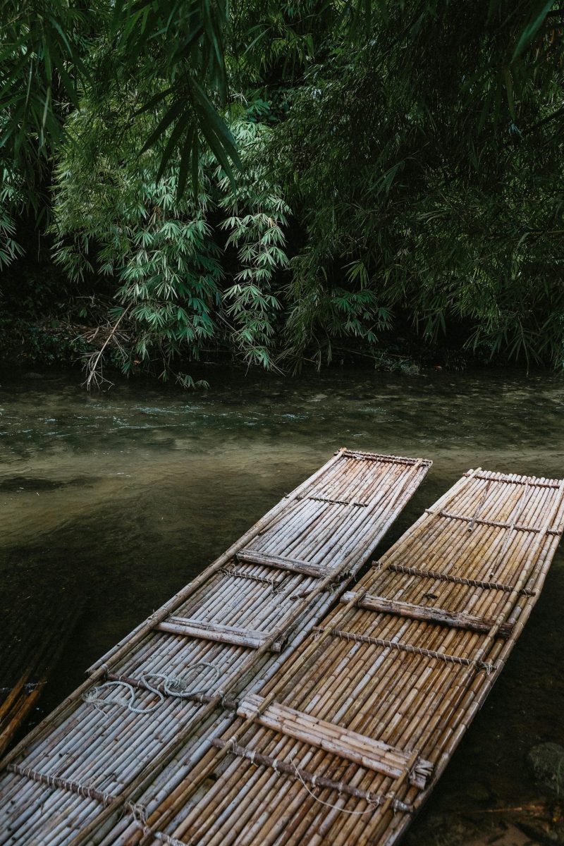 Bamboo rafts float gently on a tranquil tropical river surrounded by lush greenery.