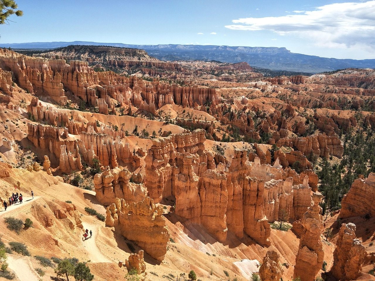 taiki-ishikawa-w6EMxsk8CDA-unsplash US national park