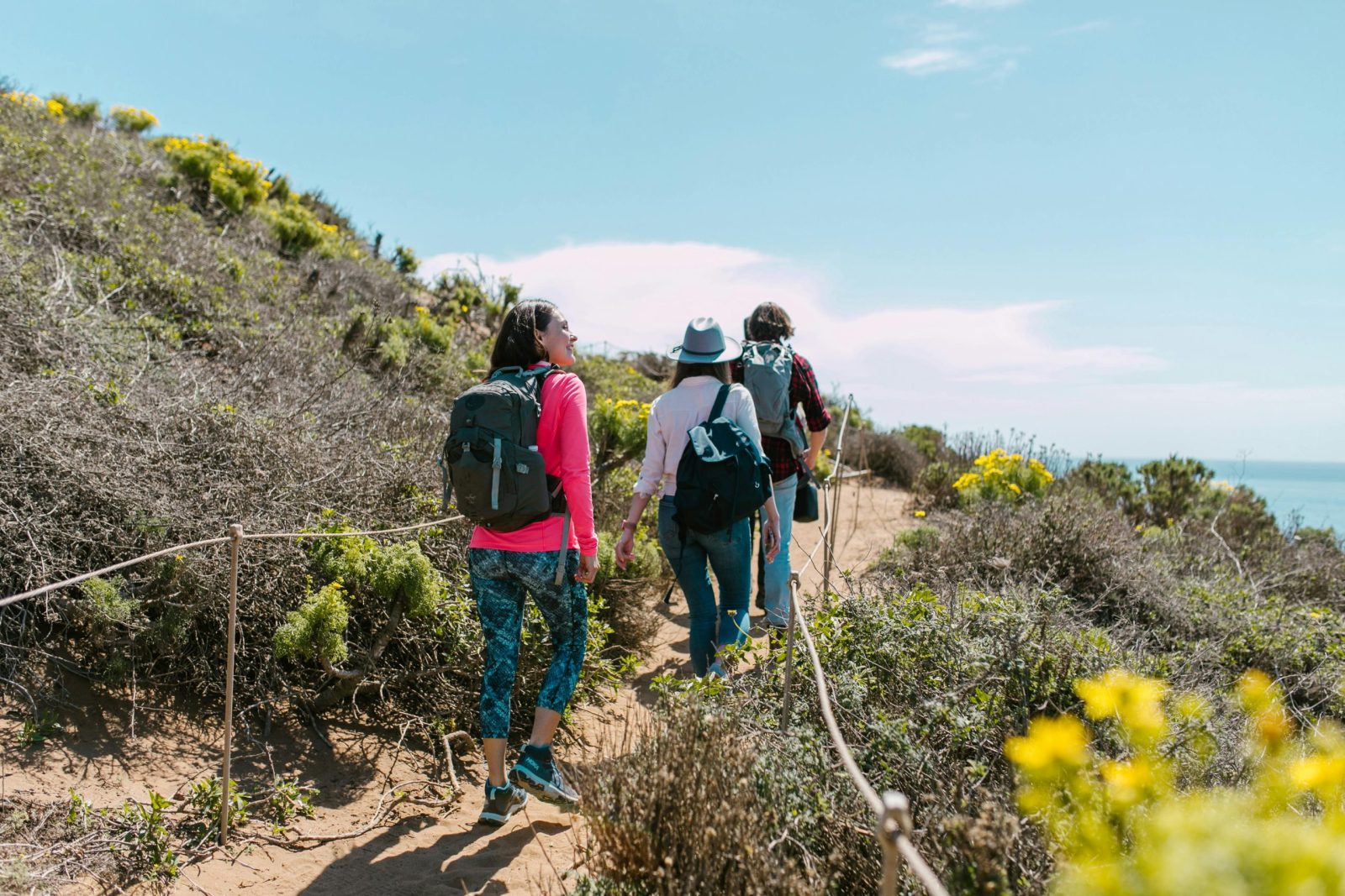 A group of hikers walking on a coastal trail surrounded by lush vegetation under a bright sky.