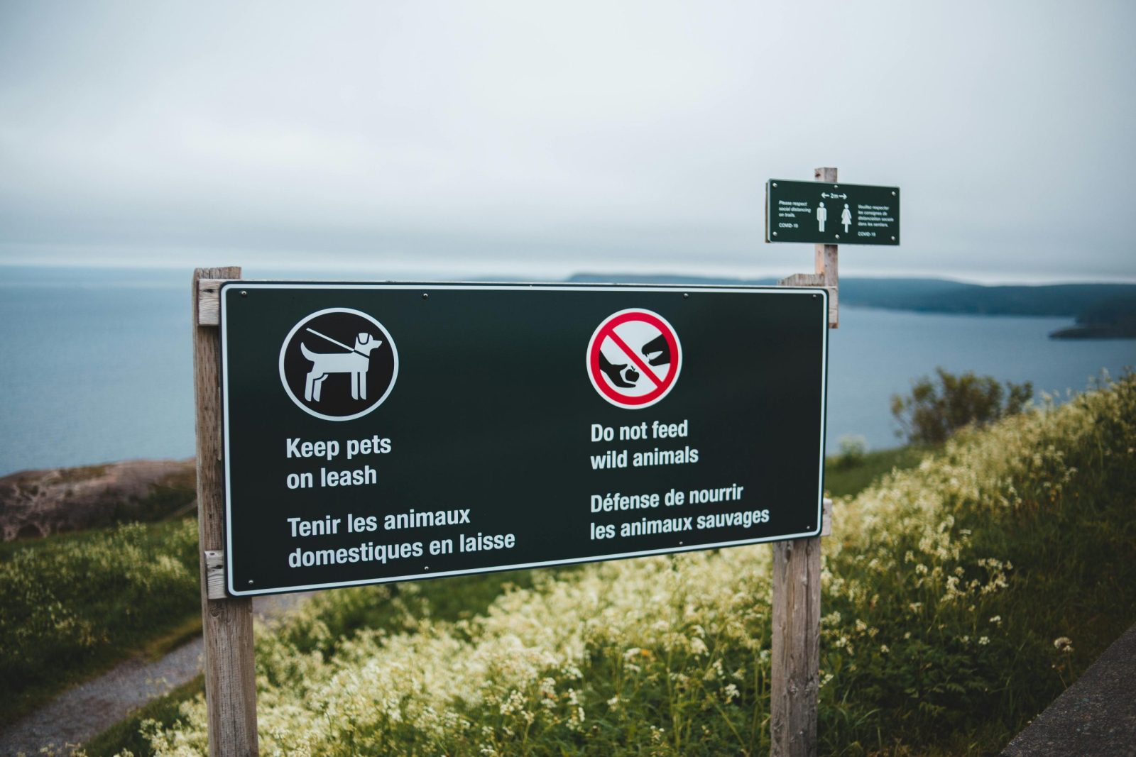 Warning signs against feeding animals and leash rules by a scenic lake view.