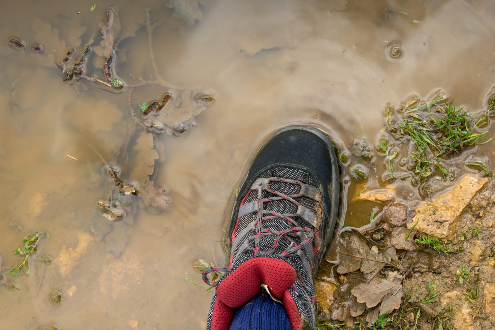 A person wearing black shoe stepping on wet ground