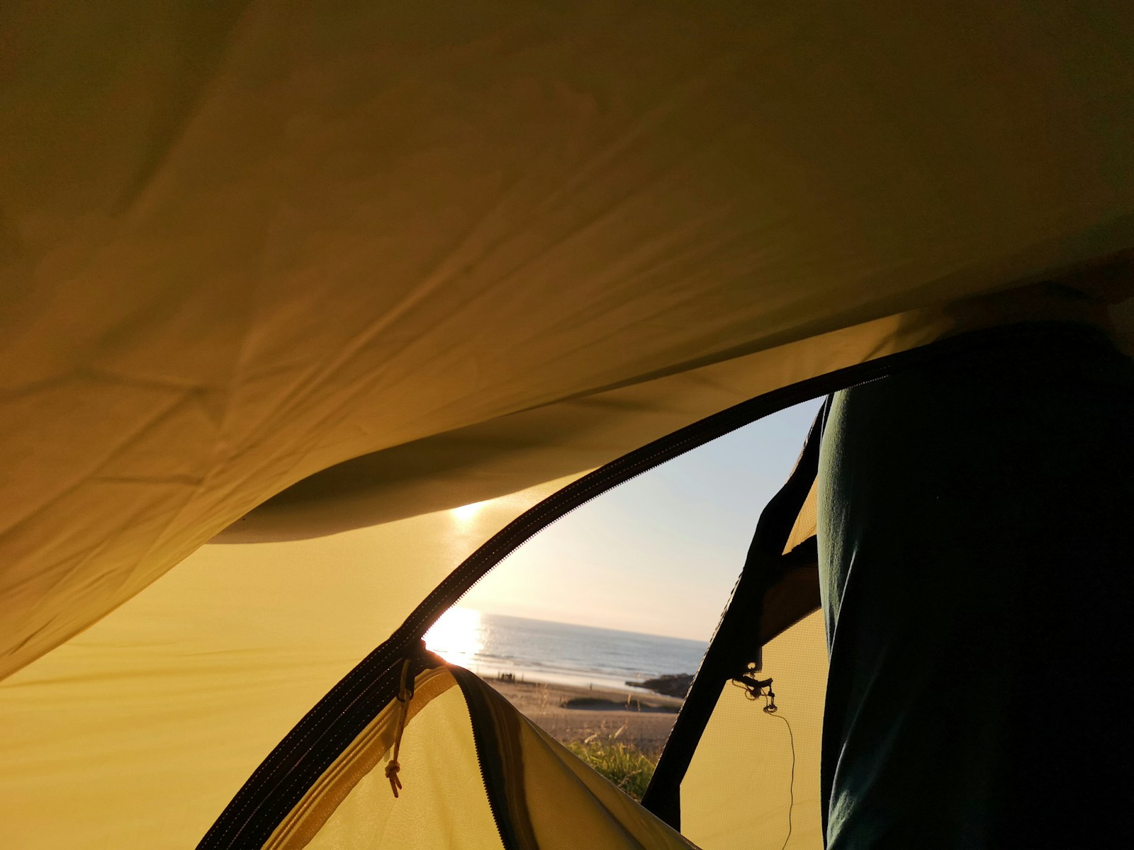 A Golden Hour Image Taken on Camping