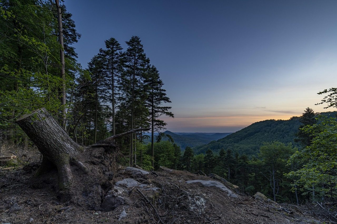 taiki-ishikawa-w6EMxsk8CDA-unsplash forest, sunset, landscape, nature, mountains, trees, heaven, hike, sunrise, scenic, dusk, forest, forest, forest, forest, forest, heaven, heaven, sunrise