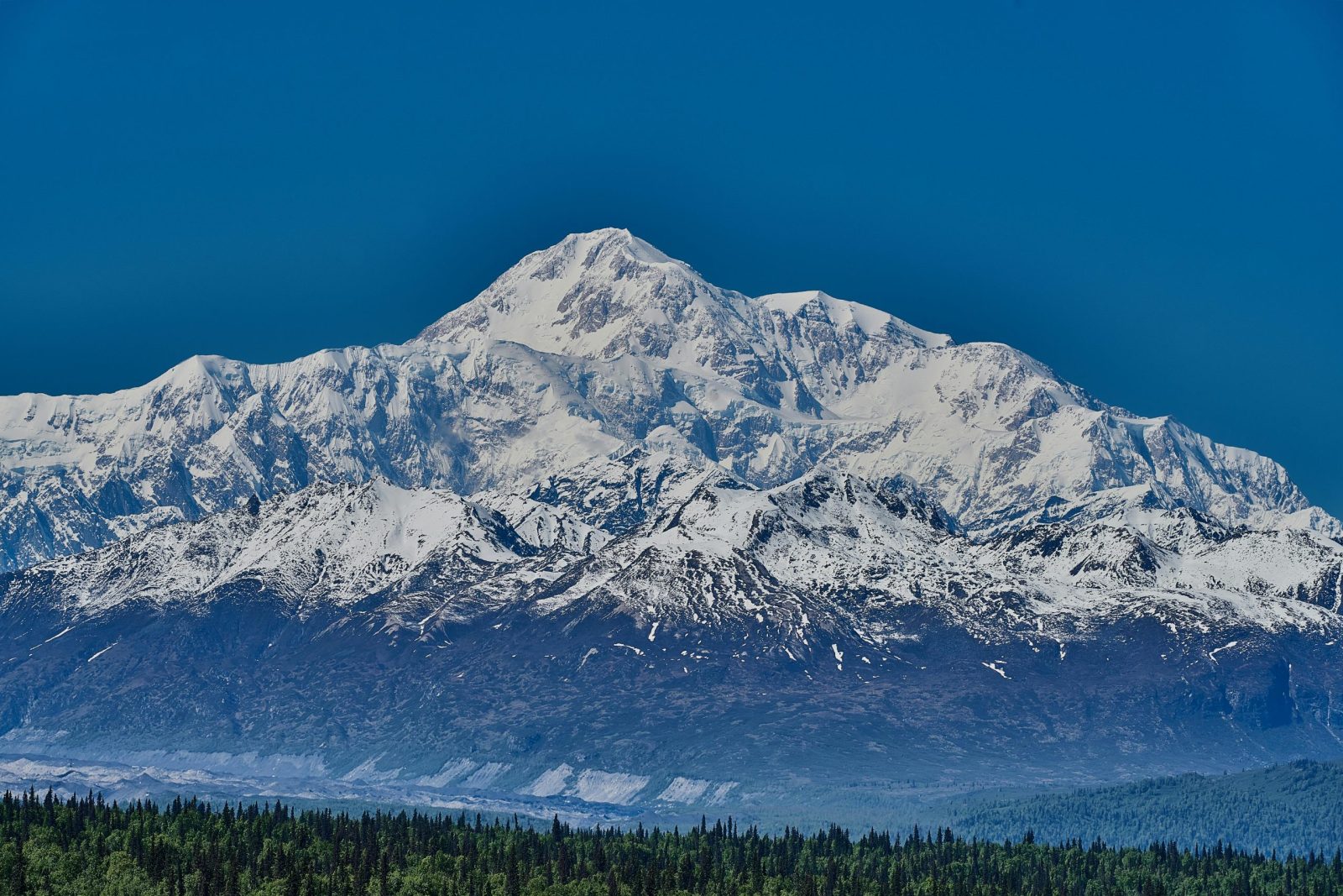 A breathtaking view of snow-capped Mount Denali surrounded by lush forest under a clear blue sky.