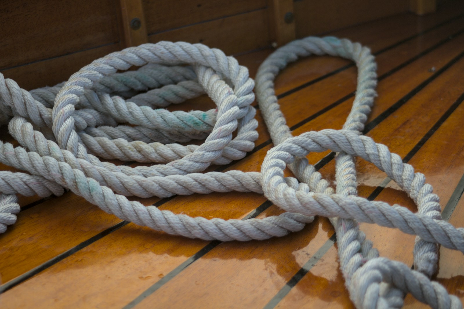A Coiled rope rests on a wooden deck.
