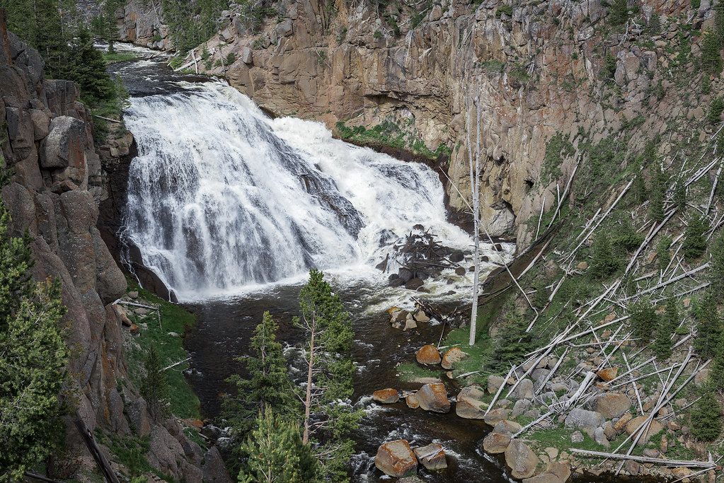 Gibbon Falls in Yellowstone's Grand Loop road
