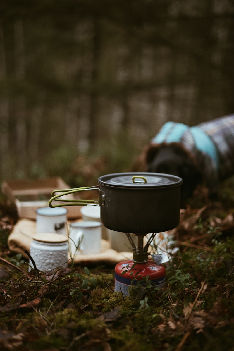 A campfire with a pot on top of it in the woods