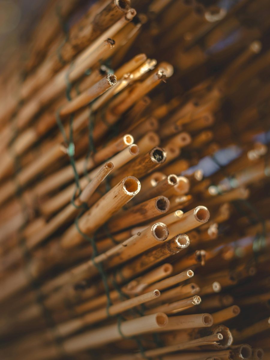Bundled Hollow Bamboo Sticks.