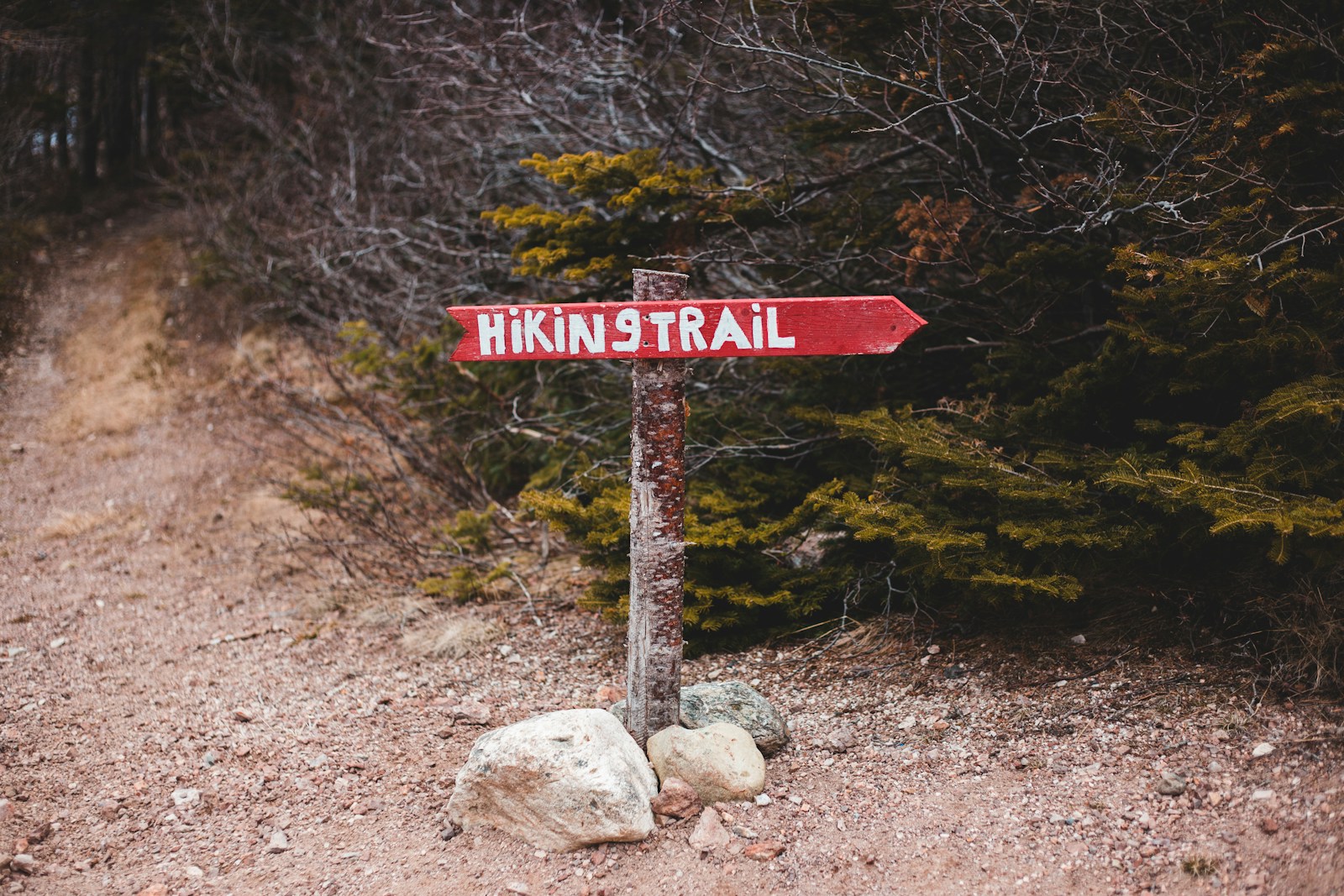 Brown wooden signage near green trees during daytime