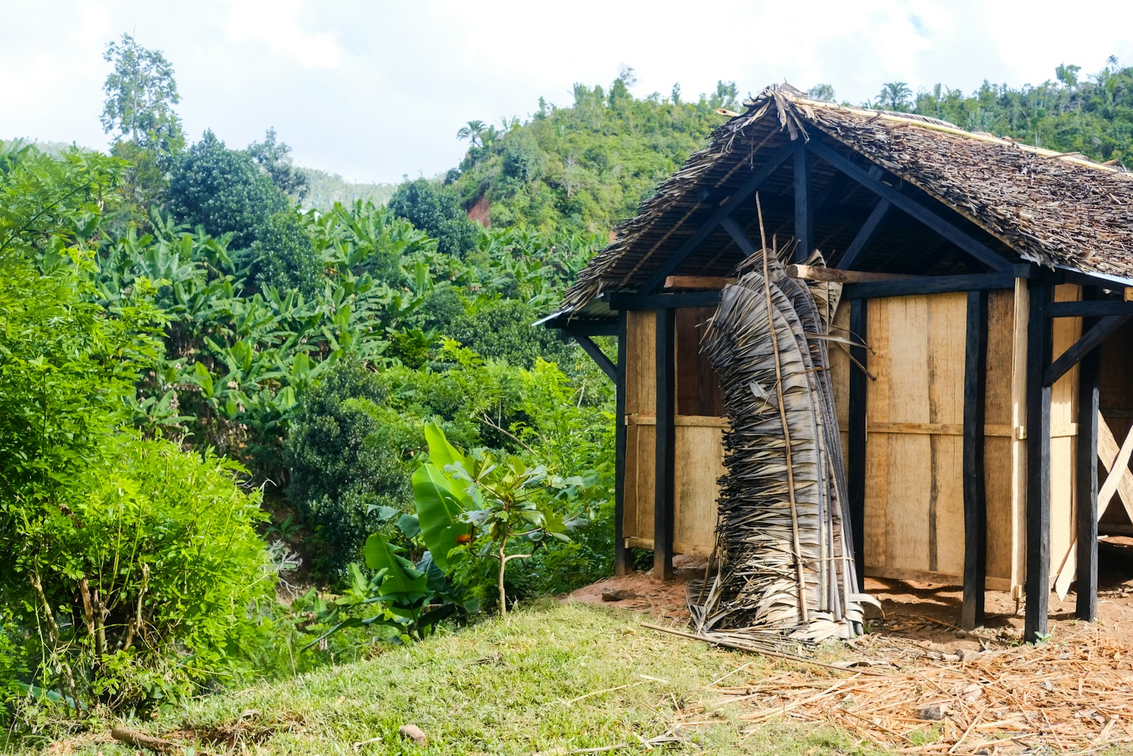 A small hut sits in a lush, green landscape.