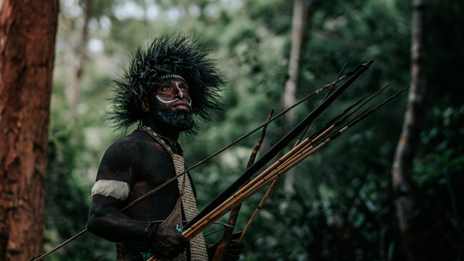 Indigenous man with traditional headdress and weaponry against lush forest backdrop.