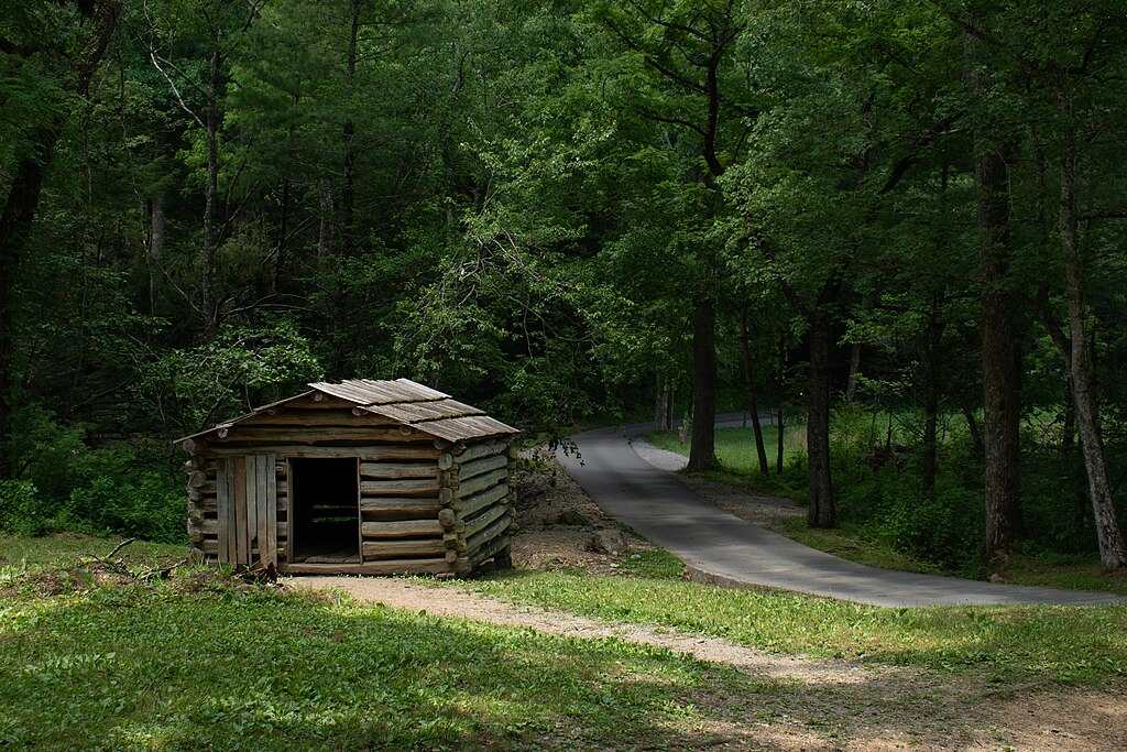 A Cabin in Forest