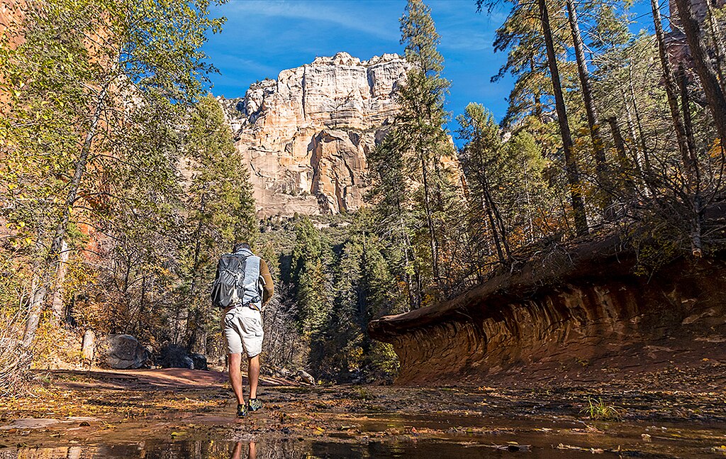 A Man Hiking in Forest