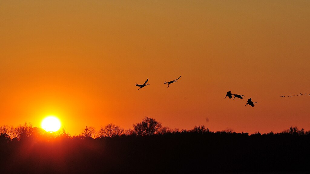 taiki-ishikawa-w6EMxsk8CDA-unsplash