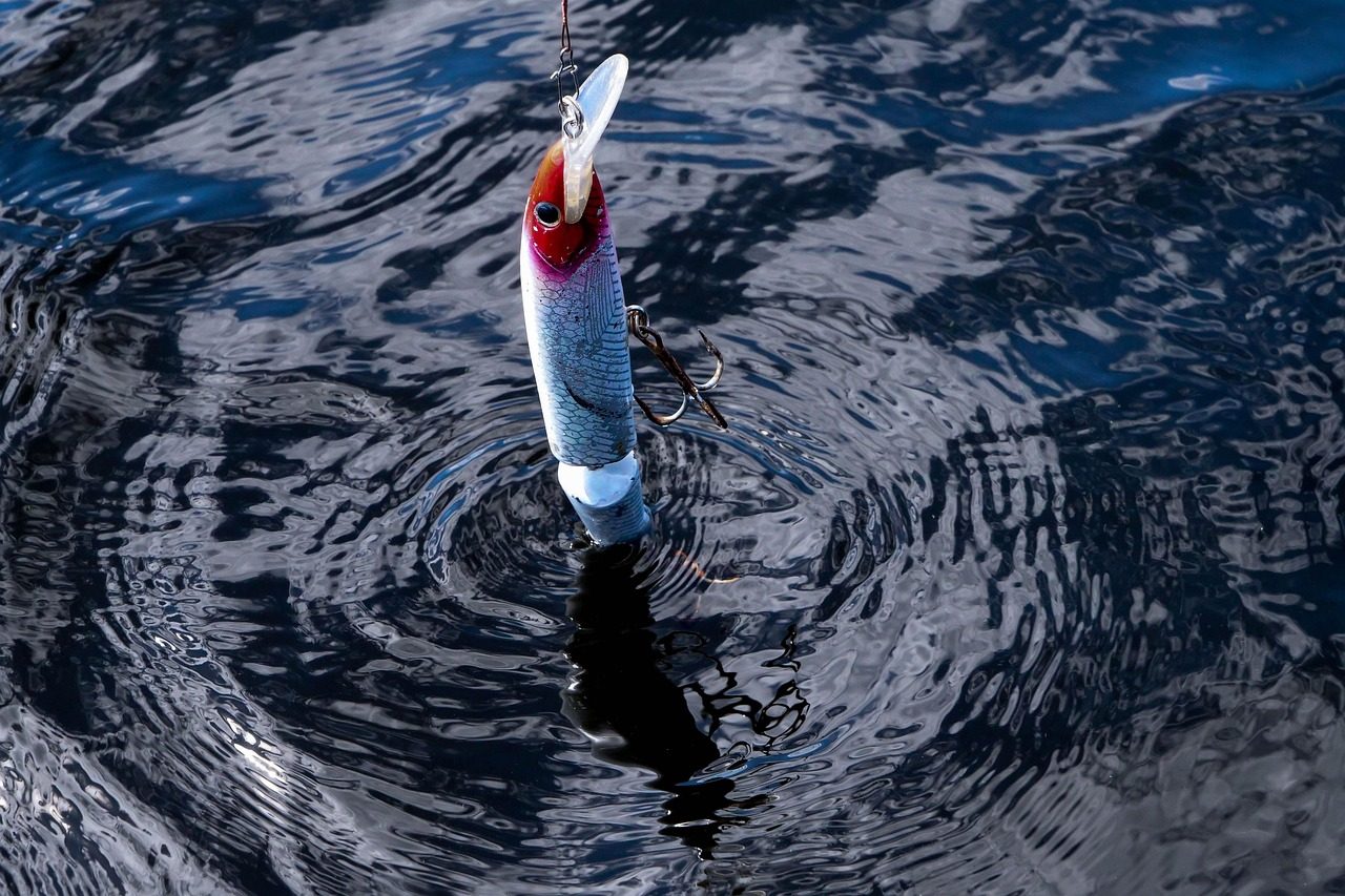 White Bait for Fishing