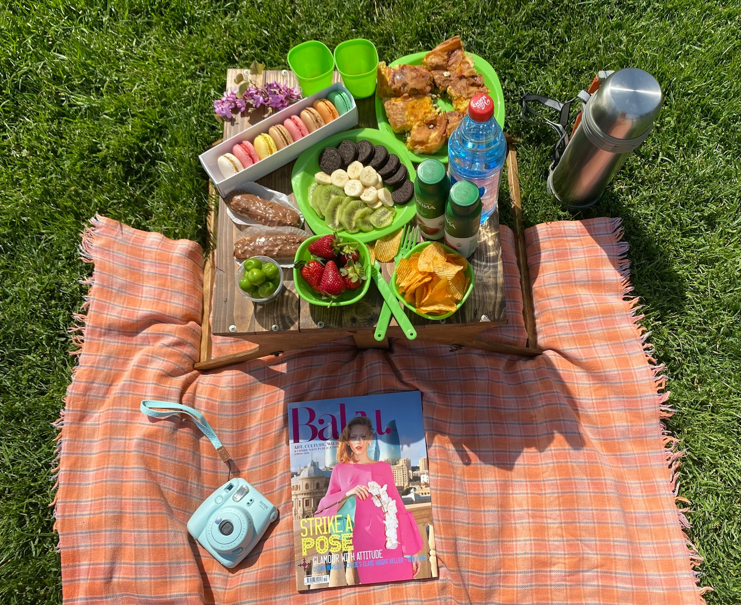 Scenic Picnicking in Zion