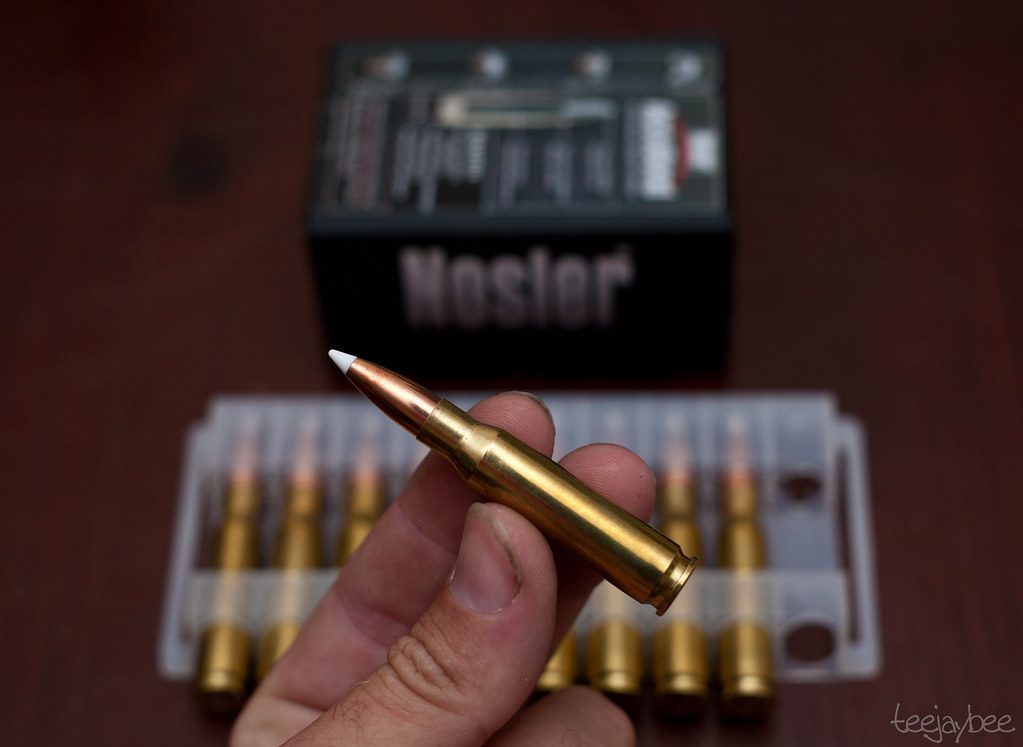 .308 Winchester Bullet