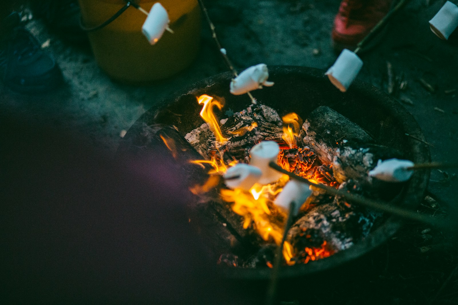 Campfire Cooking Feasts While Camping
