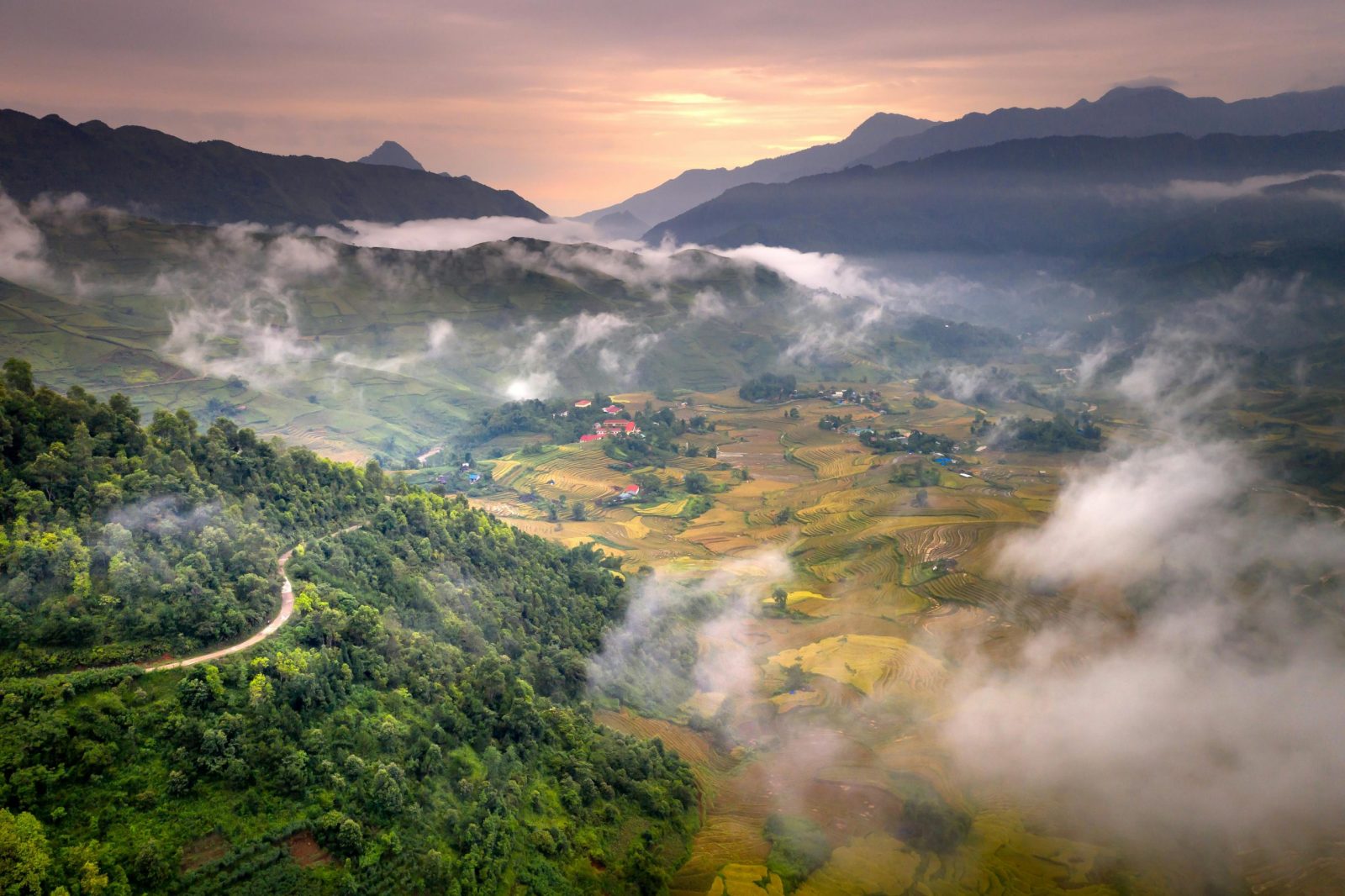 Washington for Lush Forests and Misty Mountains