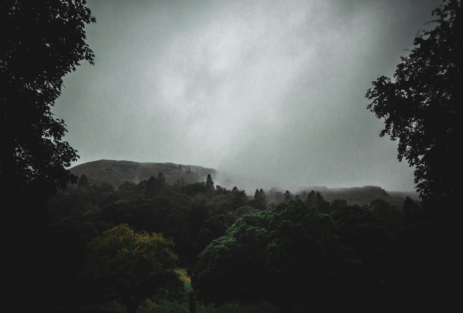 Atmospheric view of a lush forest with a moody sky in Cumbria, England.