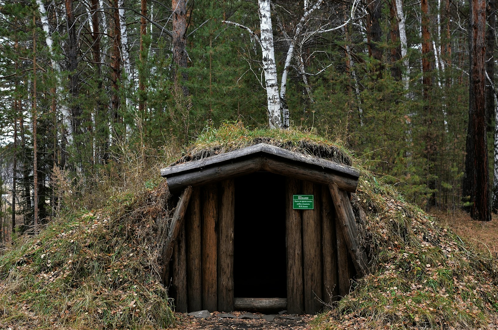a small shed in the woods