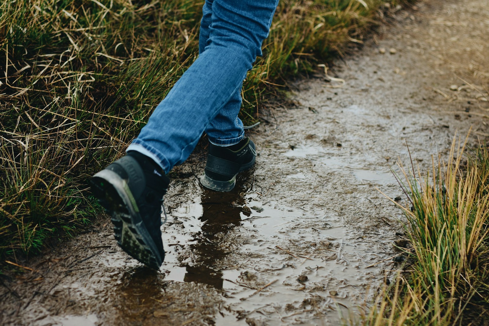 Keen Targhee III Waterproof Mid boots