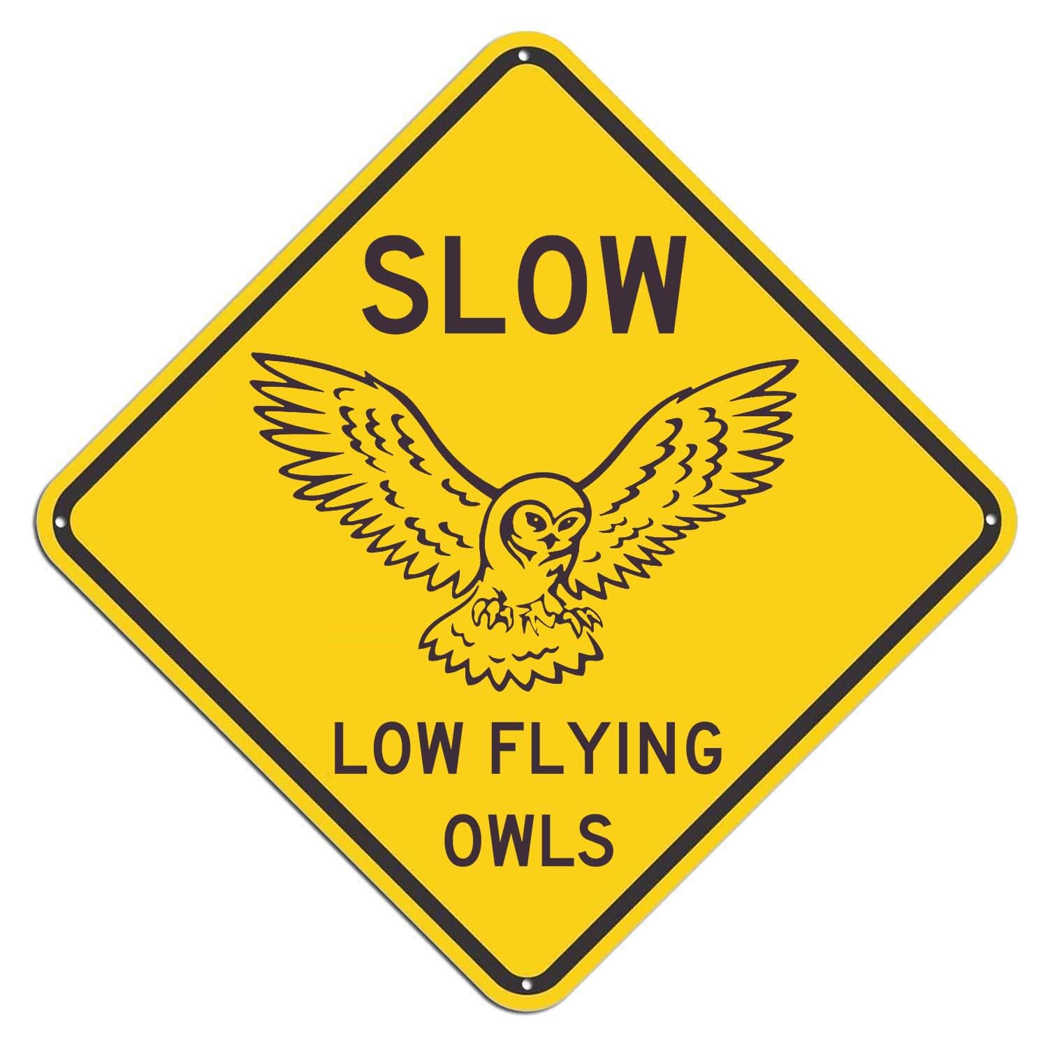 Watch for Low-Flying Owls, Minnesota