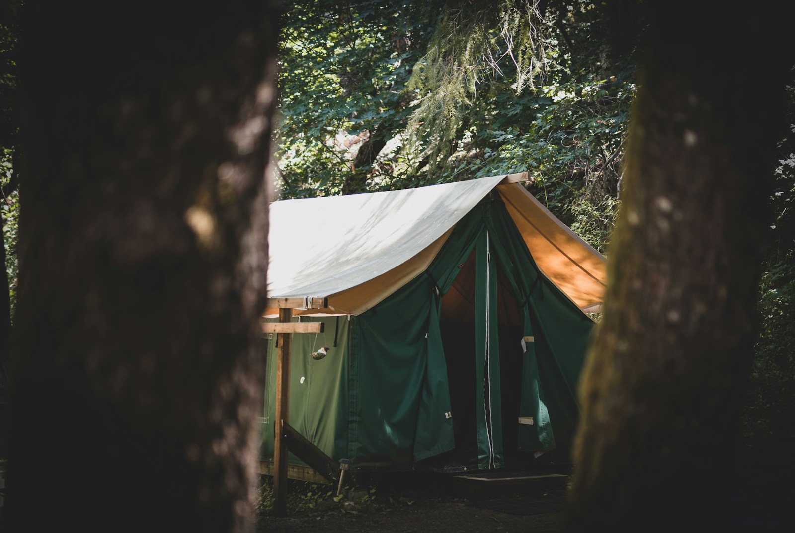 taiki-ishikawa-w6EMxsk8CDA-unsplash green tent