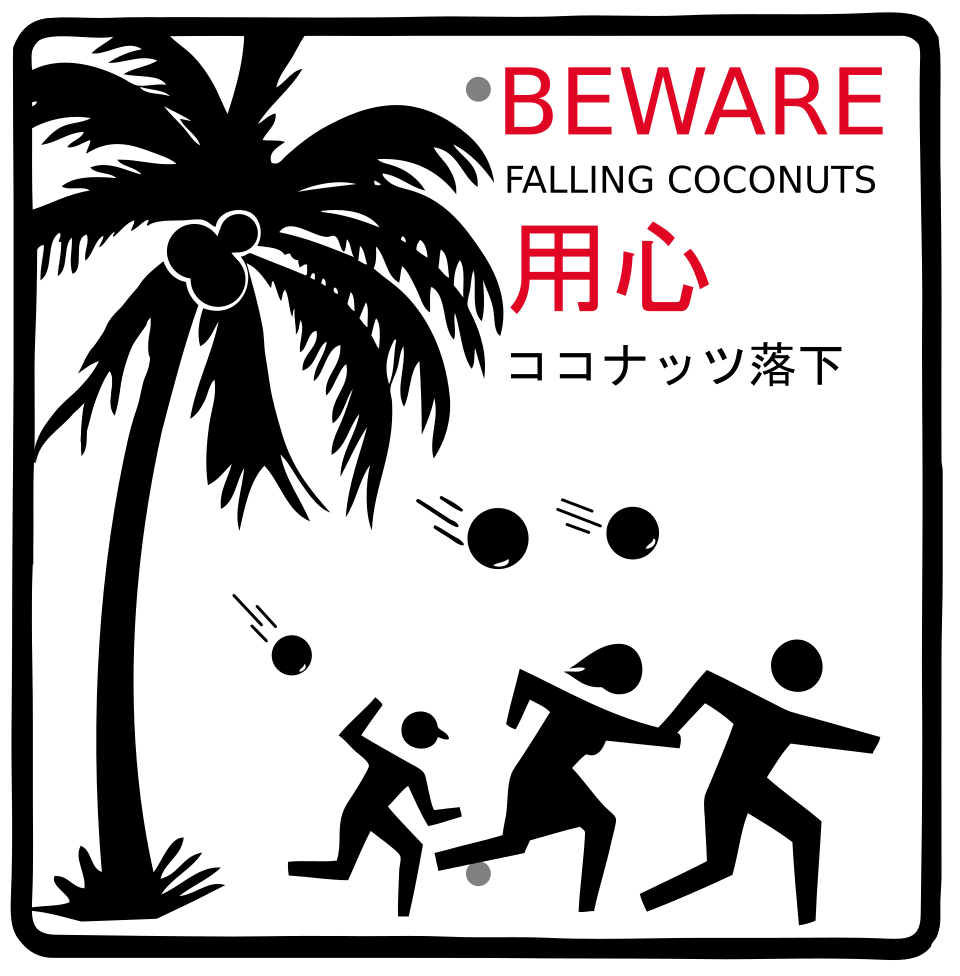 'BEWARE FALLING COCONUT' sign in Honolulu, Hawaii