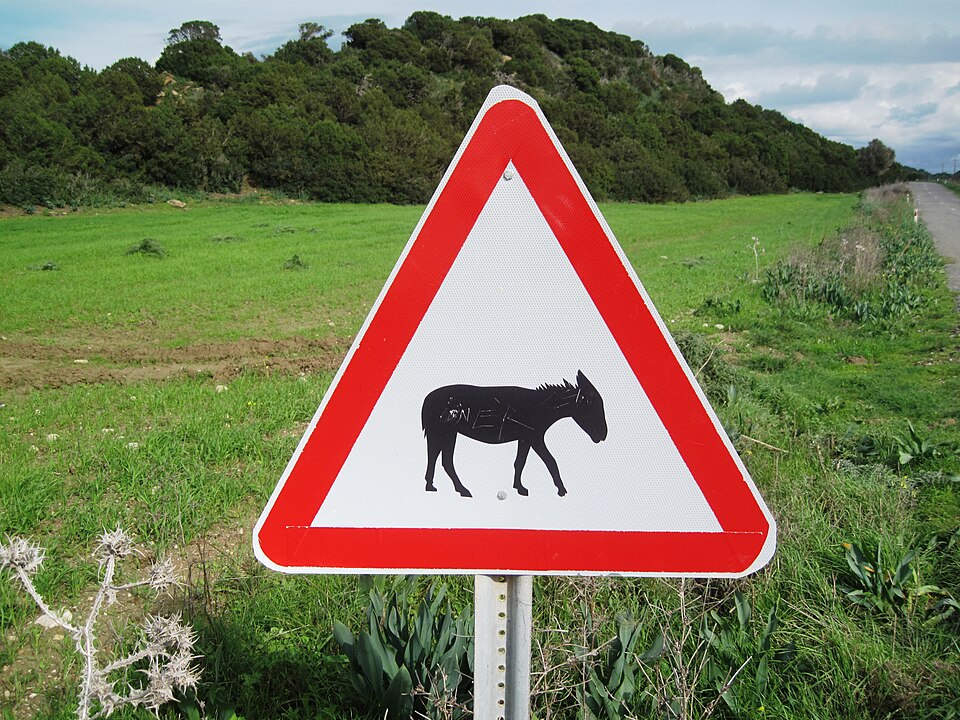 Warning crossing donkeys