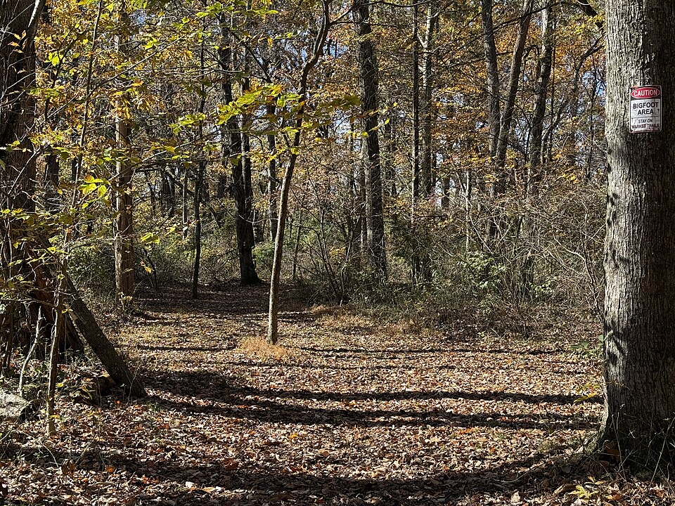 Caution: Sasquatch Area, Washington